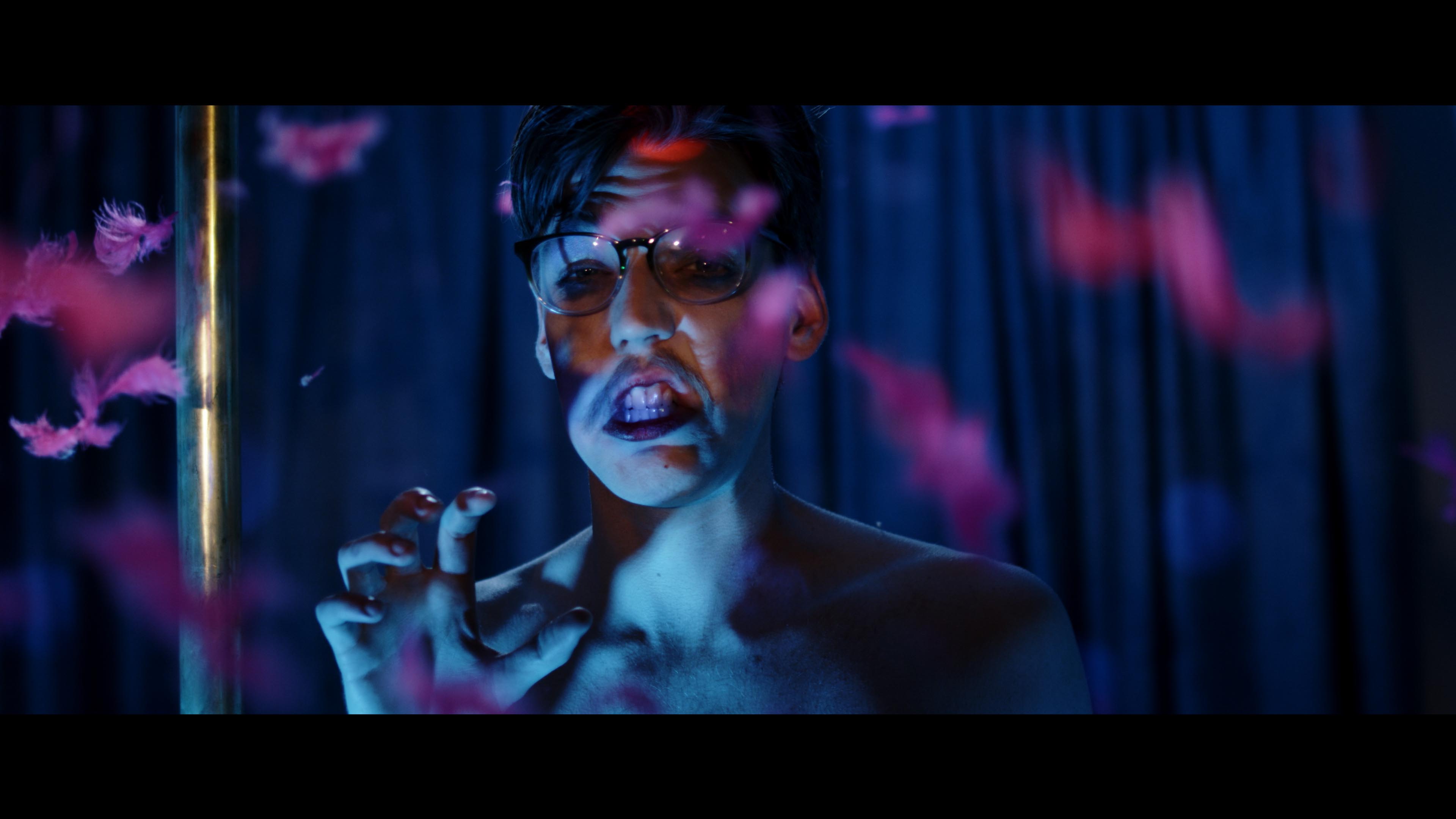 SAFE SEX // MOST BEAUTIFUL ANIMAL MUSIC VIDEO