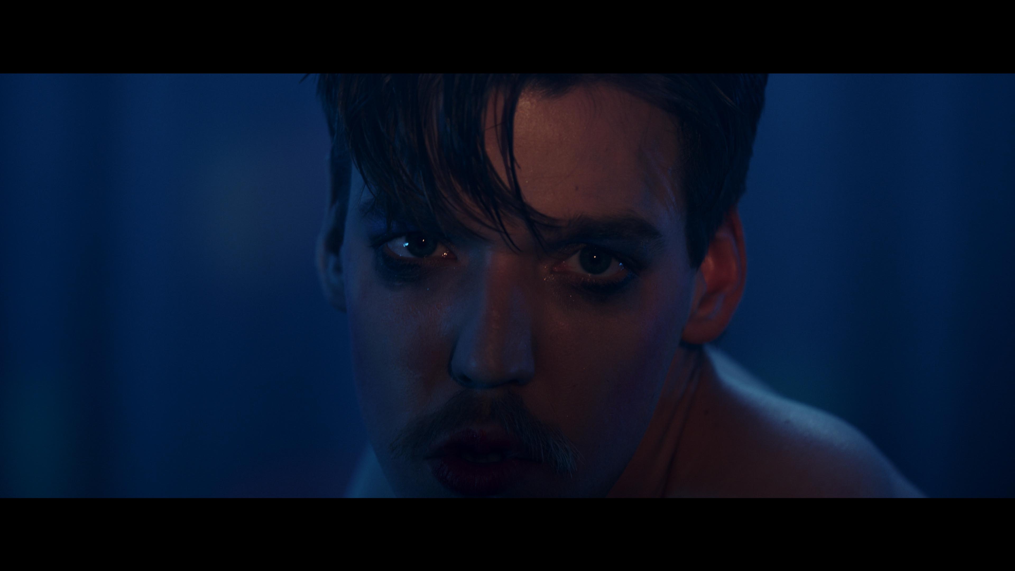 SAFE SEX // MOST BEAUTIFUL ANIMAL MUSIC VIDEO